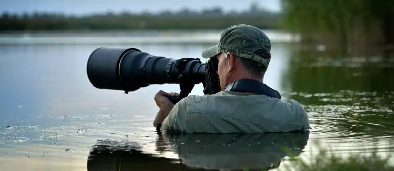 How To Become a Wildlife Photographer